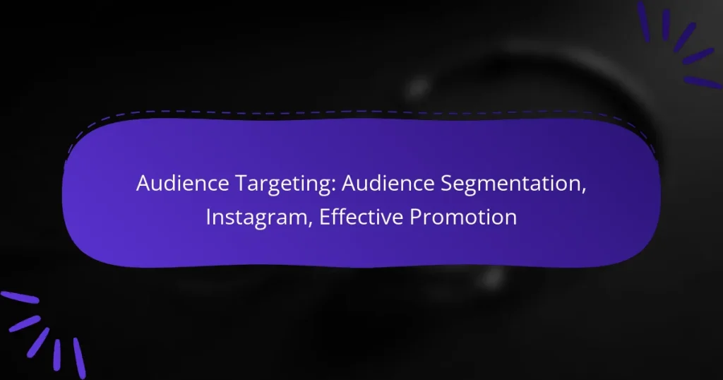 Audience Targeting: Audience Segmentation, Instagram, Effective Promotion