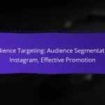 Audience Targeting: Audience Segmentation, Instagram, Effective Promotion