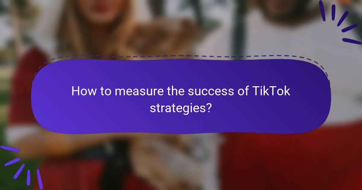 How to measure the success of TikTok strategies?