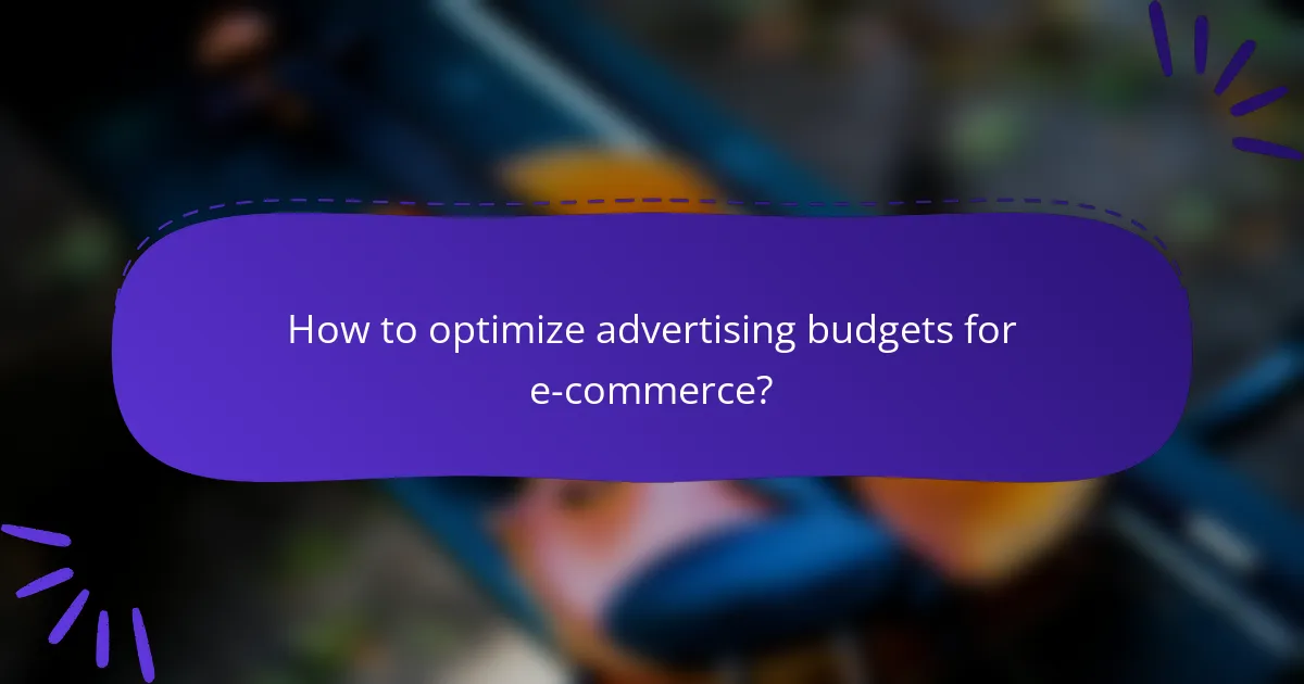 How to optimize advertising budgets for e-commerce?