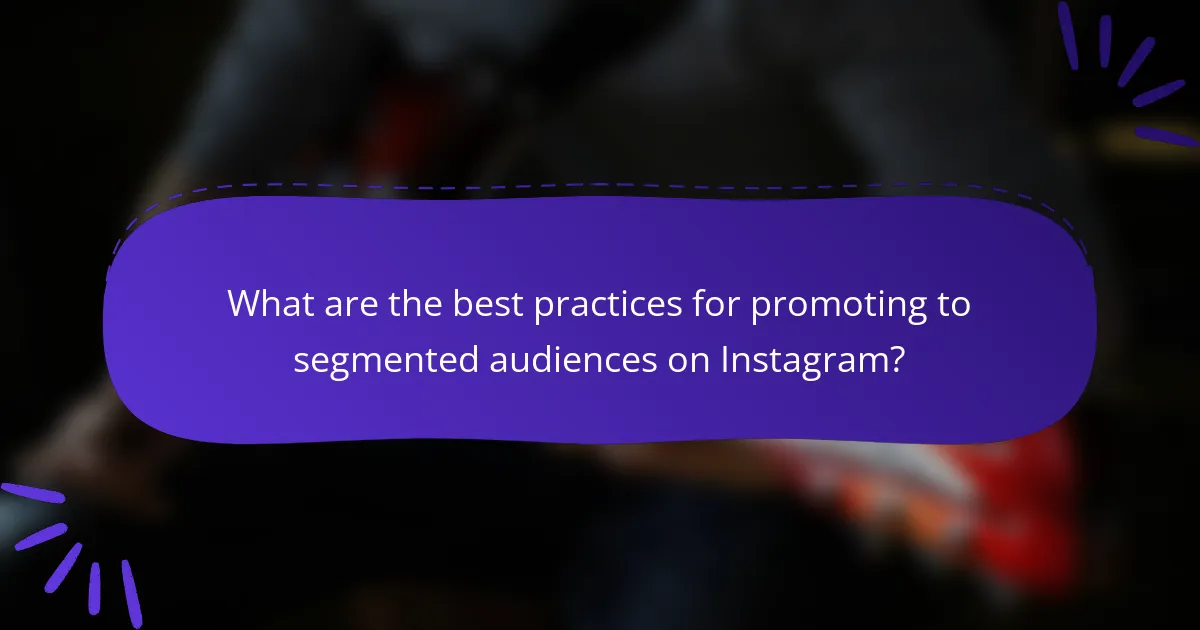What are the best practices for promoting to segmented audiences on Instagram?