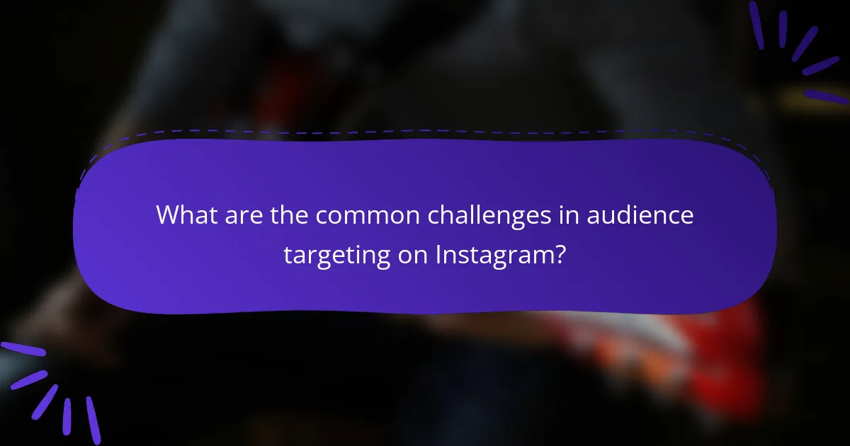What are the common challenges in audience targeting on Instagram?