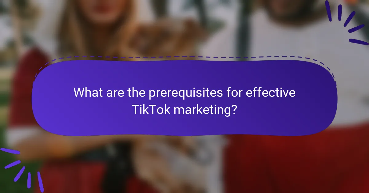 What are the prerequisites for effective TikTok marketing?