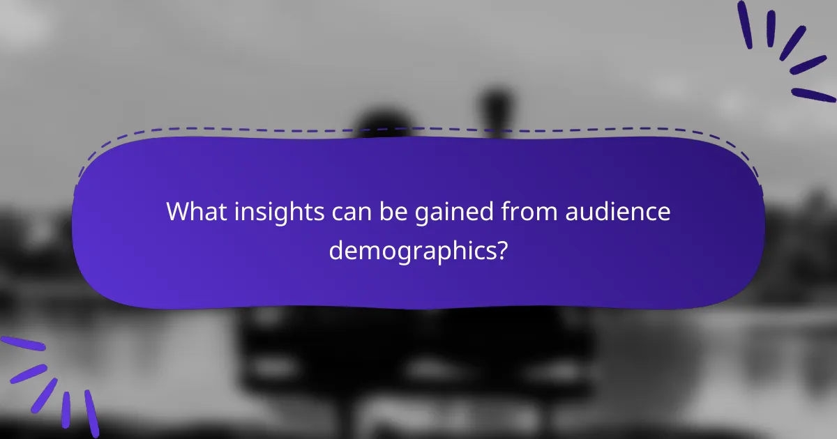 What insights can be gained from audience demographics?
