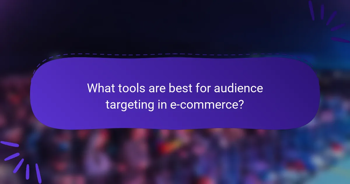 What tools are best for audience targeting in e-commerce?