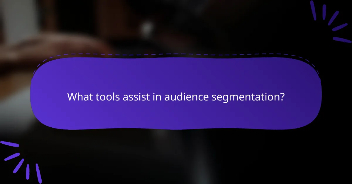 What tools assist in audience segmentation?